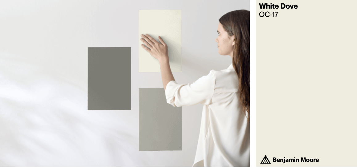 Benjamin Moore Paint Sample - White Dove