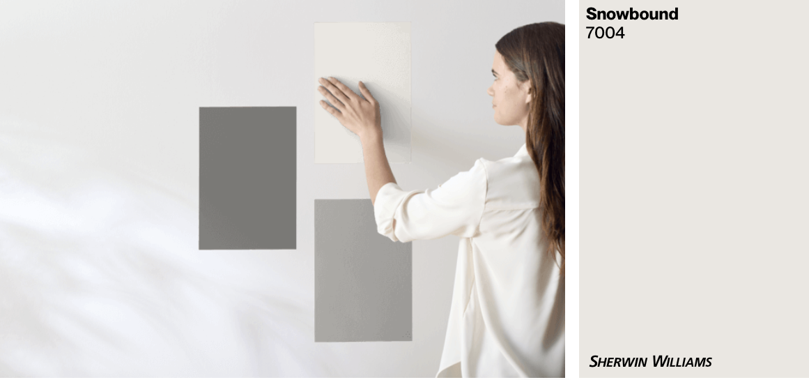 Sherwin Williams Color Sample - Snowbound