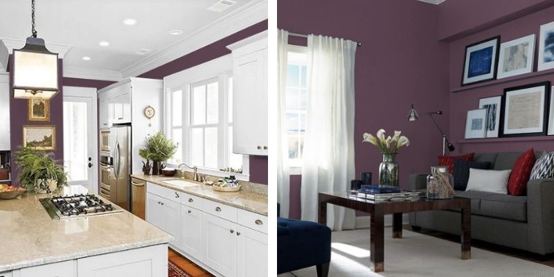 Glidden 2025 Color Of The Year Purple Basil